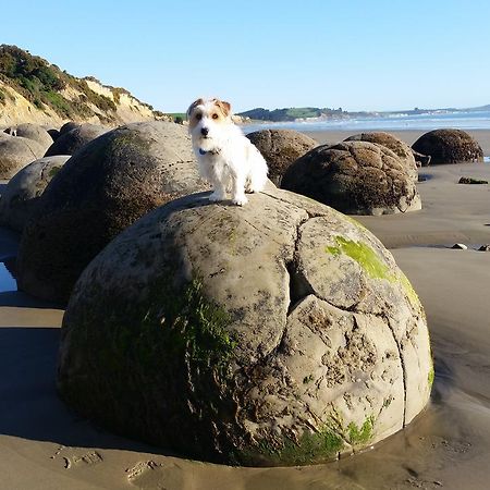 Hampden Moeraki Boulders Motel מראה חיצוני תמונה
