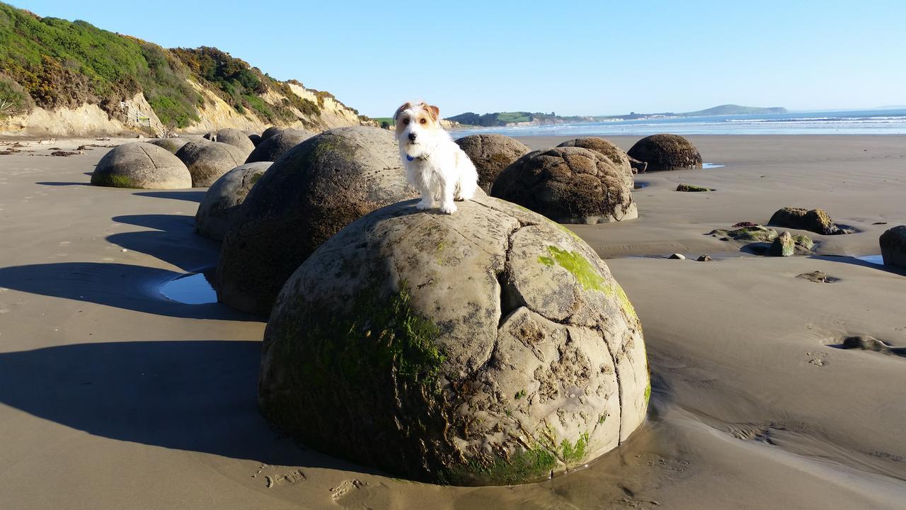 Hampden Moeraki Boulders Motel מראה חיצוני תמונה