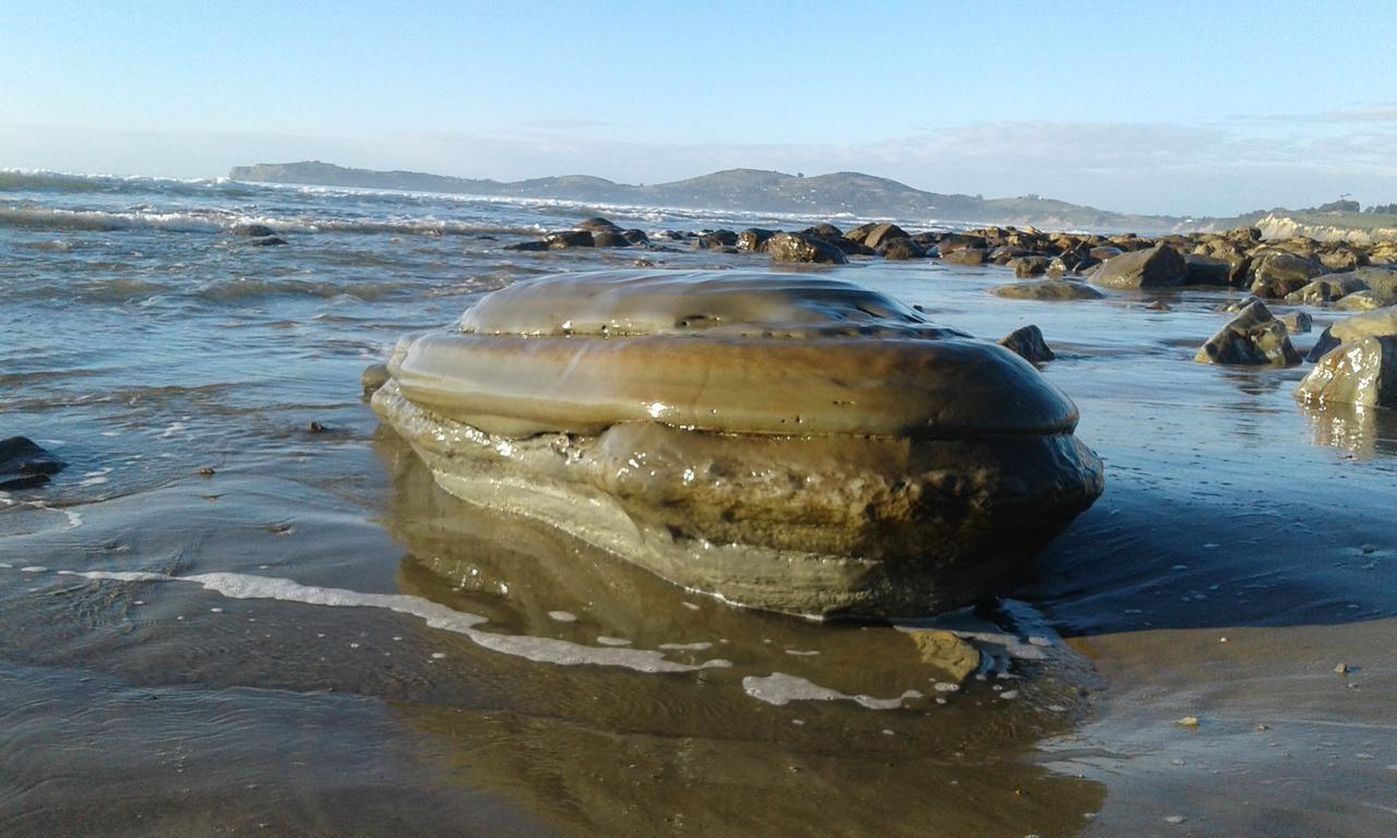Hampden Moeraki Boulders Motel מראה חיצוני תמונה